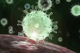 virus
