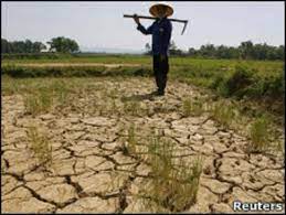 Cambio Climático