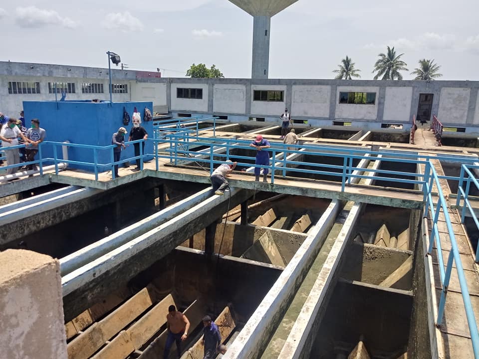 planta nuevitas
