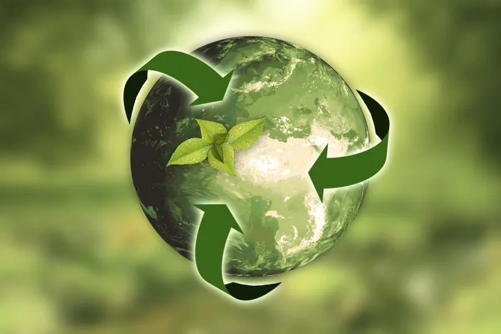 educacion ambiental