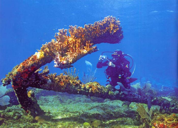 Oceanos