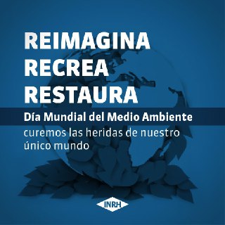 Reimagina-Recrea-Restaura