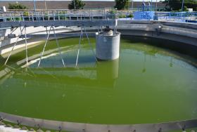 Postal de la Planta Luyanó