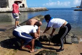 Salvando nuestro malecón