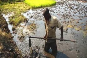 La labor de la FAO en el agua imagen