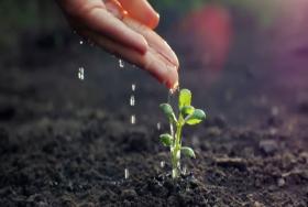 semana mundial del agua