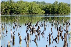 Para salvar la costa a toda costa